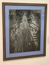 Load image into Gallery viewer, Fredwood By Gabriel Coke, $3,000