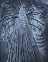 Load image into Gallery viewer, Fredwood By Gabriel Coke, $3,000