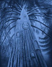 Load image into Gallery viewer, Art Class - Night Gallery Half Month in August - $125
